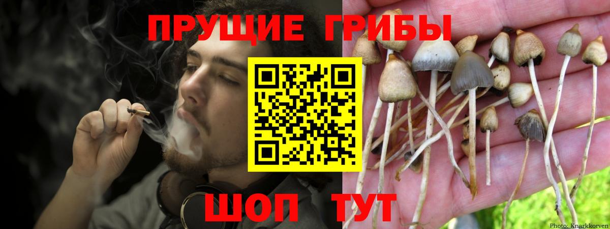 Галлюциногенные грибы ЛСД Брянск