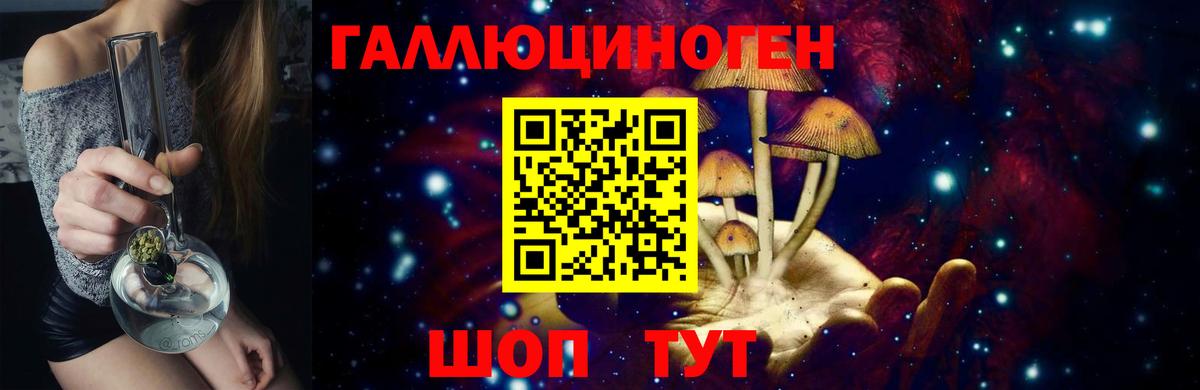 Брянск  Псилоцибиновые грибы MAGIC MUSHROOMS  Вход с VPN 